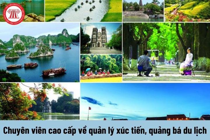 Nội dung: Disney đã tạo ra một xu hướng mới với chuỗi sự kiện 