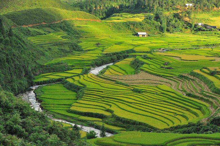 Hotspot Matrix: Văn hóa & Môi trường Làm Việc Tích Cực
