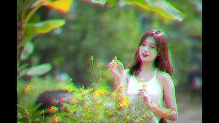 Xu hướng Ba Con Cừu - công ty đứng sau: Hotspot Matrix tiết lộ bí quyết video viral