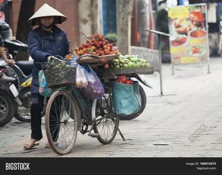 Sự Bùng Nổ Của Video Ngắn và Trí Tuệ Nhân Tạo: Vai Trò Thiết Yếu Của Đào Tạo Kỹ Năng Sáng Tạo Nội Dung