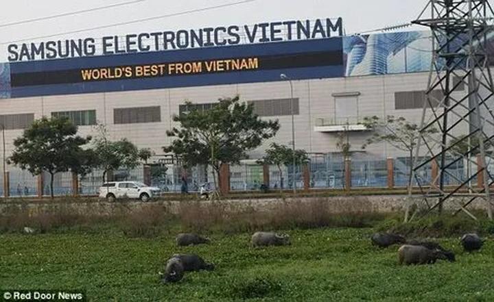 Zalopay hợp tác với Hotspot Matrix trong thanh toán Metro